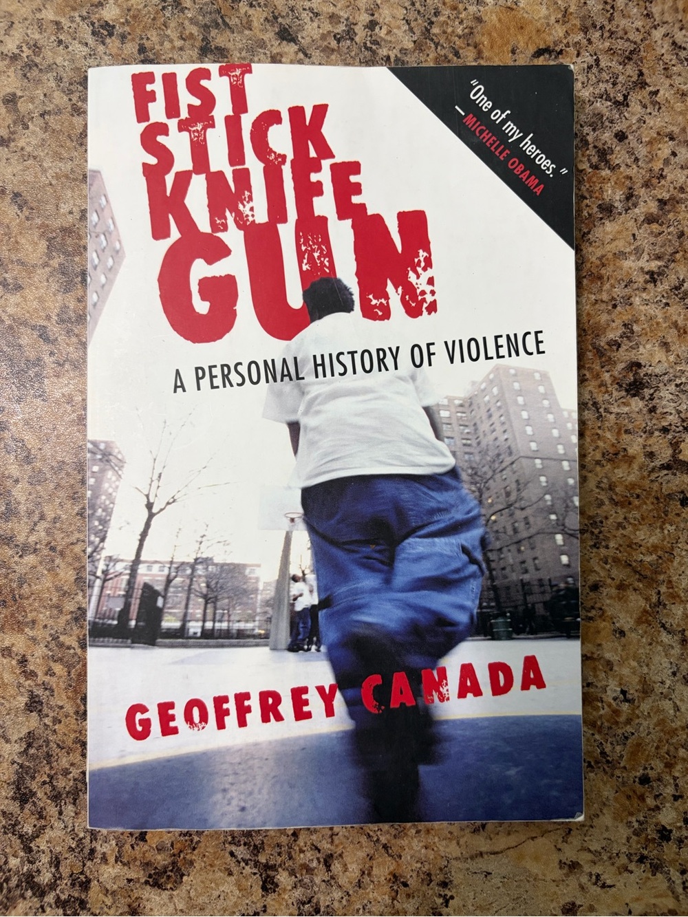 “Fist Stick Knife Gun” Paperback Book by Geoffrey Canada
